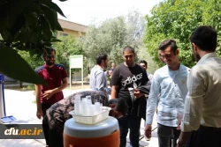 روز اول پذیرش - براداران جشنواره فرهنگی (سرود و تئاتر ) شیراز تیرمانه 98 9