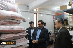 بازدید معاون طرح و برنامه و توسعه منابع دانشگاه فرهنگیان از پردیس های استانی یزد
 10