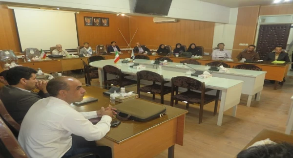 تشکیل ستاد تخصصی و آغاز فرایند اجرایی مصاحبه با حضور 466 داوطلب دختر و 418 داوطلب پسر  