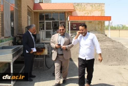 بازدید سرپرست مدیریت امور پردیس های استان از مراحل آماده سازی پردیس های سطح استان 14