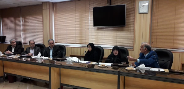 برنامه درسی رشته آموزش تاریخ دوره کارشناسی ارشد (ویژه دانشگاه فرهنگیان) مصوب گردید 2