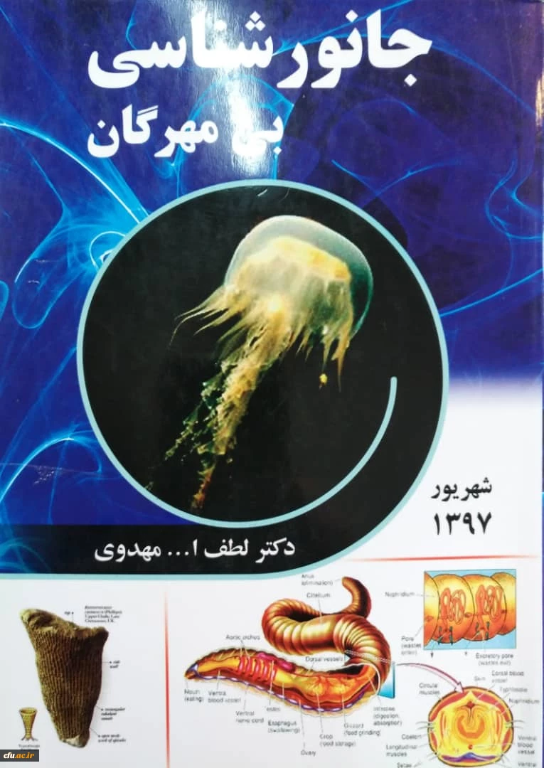 آثار مصوب جهت حمایت از پدیدآورندگان آن ها 5