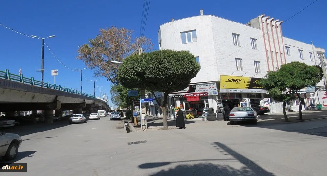 با پیگیری های سرپرست دانشگاه فرهنگیان استان اردبیل، خیابان هم جوار پردیس علامه طباطبایی به نام خیابان تربیت معلم نام گذاری شد 4