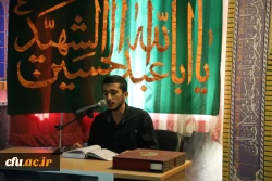 مراسم جاماندگان اربعین حسینی (ع) 2