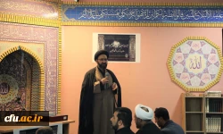 مراسم جاماندگان اربعین حسینی (ع) 11