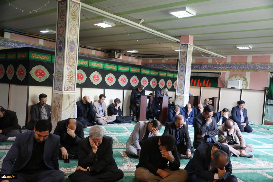 مراسم جاماندگان اربعین حسینی (ع) 13