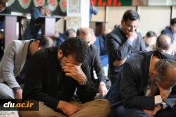 مراسم جاماندگان اربعین حسینی (ع) 14