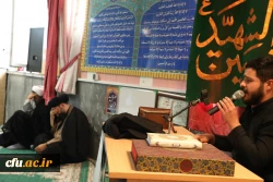 مراسم جاماندگان اربعین حسینی (ع) 15