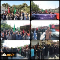 آیین پیاده روی اربعین حسینی پردیس ها و مراکز استان تهران
 2