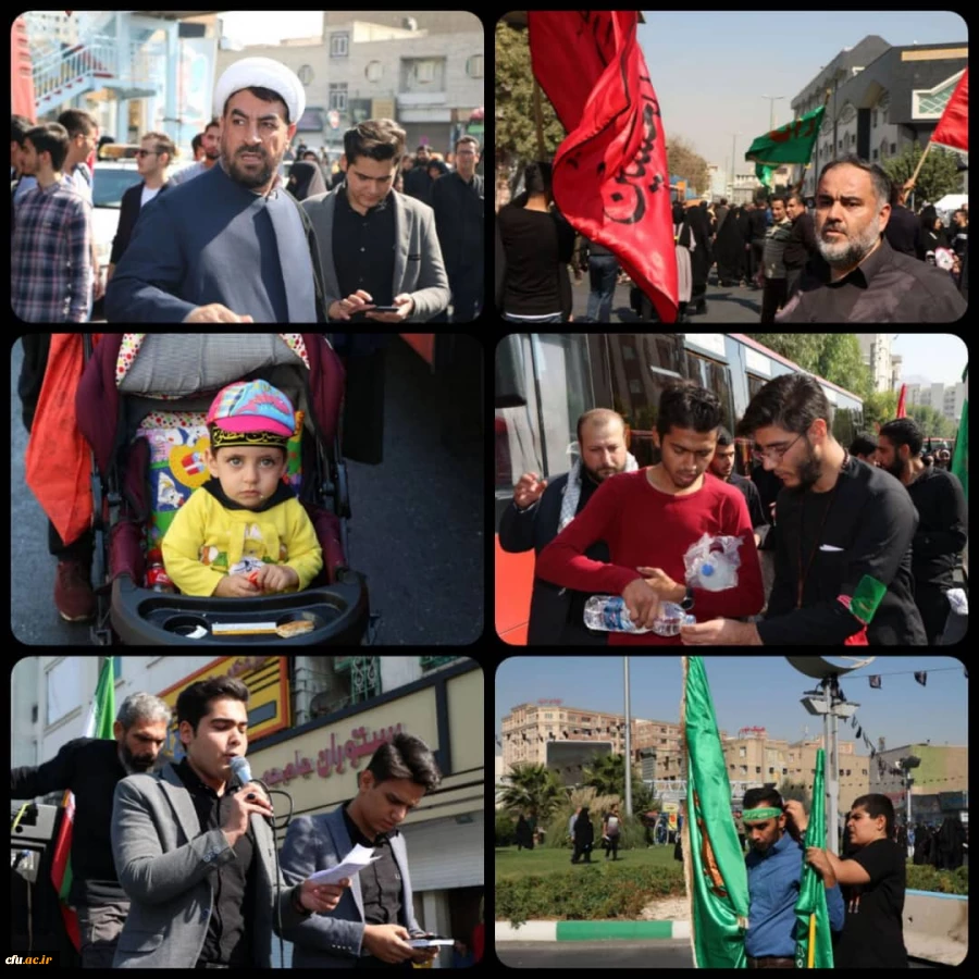 آیین پیاده روی اربعین حسینی پردیس ها و مراکز استان تهران
 5