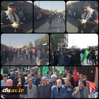آیین پیاده روی اربعین حسینی پردیس ها و مراکز استان تهران
 8