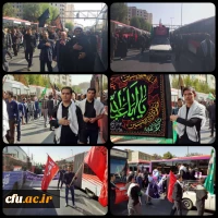 آیین پیاده روی اربعین حسینی پردیس ها و مراکز استان تهران
 13