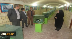 بازدید دکتر علی نجفی سرپرست مدیریت امور پردیس های استان از موزه ی اسناد و گنجینه ی آموزش و پرورش 4