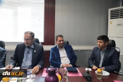 تشریح دستاوردها و آسیب شناسی برنامه های راهپیمایی اربعین 9