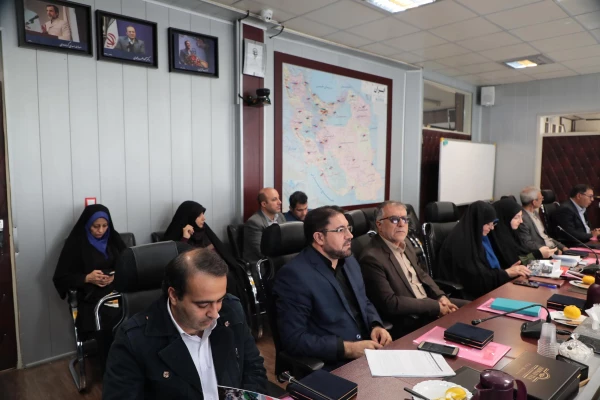 تشریح دستاوردها و آسیب شناسی برنامه های راهپیمایی اربعین 7