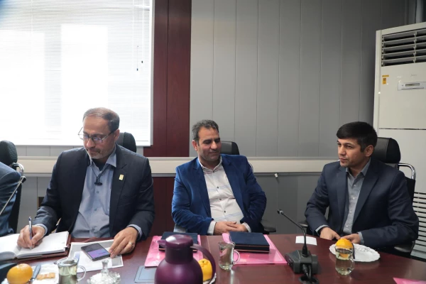 تشریح دستاوردها و آسیب شناسی برنامه های راهپیمایی اربعین 9