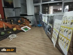 به مناسبت هفته تربیت بدنی مسابقات ورزشی با حضور دانشجویان ، کارکنان واساتید در پردیس های استان سیستان وبلوچستان برگزار شد.