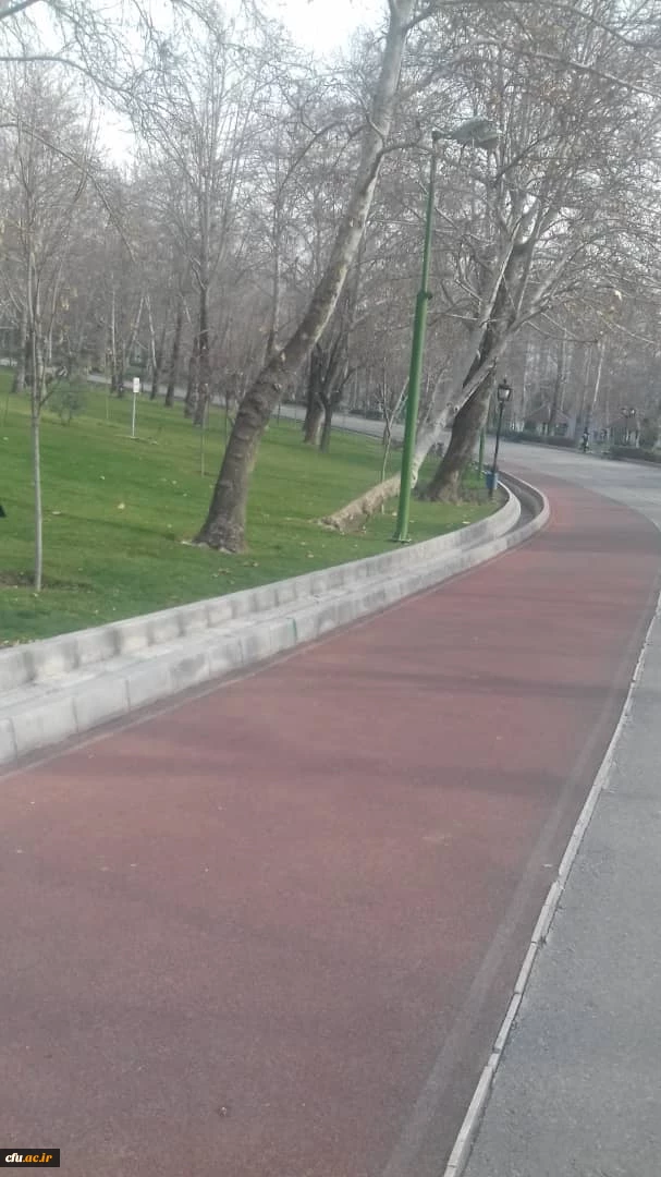 از جاده های تندرستی و زمین های ورزشی روباز مجموعه فرهنگی ورزشی انقلاب و پارک مل

جاده 2