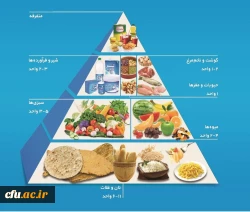 هرم غذایی 2