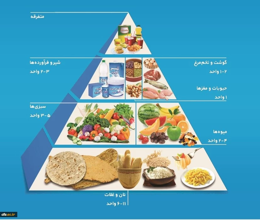 هرم غذایی 2