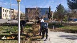 مراسم روز درختکاری در دانشگاه فرهنگیان استان سیستان وبلوچستان برگزار شد