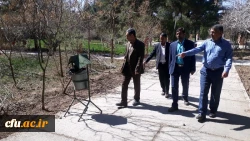 گرامیداشت هفته منابع طبیعی و روز درختکاری در دانشگاه فرهنگیان استان کرمان 2