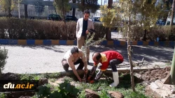 گرامیداشت هفته منابع طبیعی و روز درختکاری در دانشگاه فرهنگیان استان کرمان 3