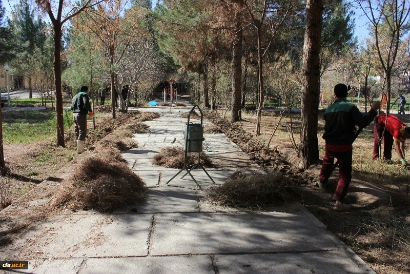 گرامیداشت هفته منابع طبیعی و روز درختکاری در دانشگاه فرهنگیان استان کرمان 5