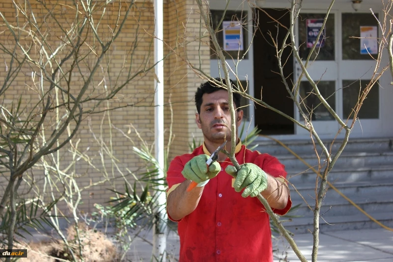 گرامیداشت هفته منابع طبیعی و روز درختکاری در دانشگاه فرهنگیان استان کرمان 6