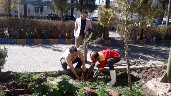 گرامیداشت هفته منابع طبیعی و روز درختکاری در دانشگاه فرهنگیان استان کرمان 3