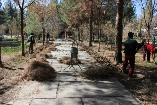 گرامیداشت هفته منابع طبیعی و روز درختکاری در دانشگاه فرهنگیان استان کرمان 6