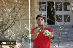 گرامیداشت هفته منابع طبیعی و روز درختکاری در دانشگاه فرهنگیان استان کرمان 7