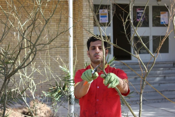 گرامیداشت هفته منابع طبیعی و روز درختکاری در دانشگاه فرهنگیان استان کرمان 7