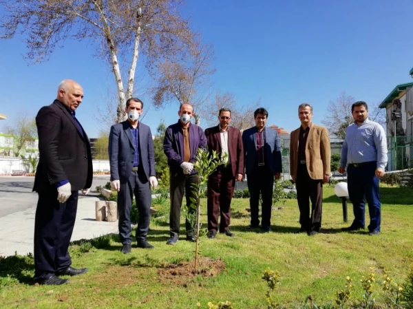 درختکاری را تنها در روز درختکاری خلاصه نکنیم
 2