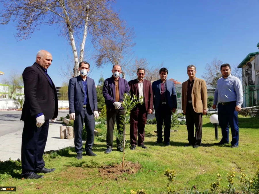 درختکاری را تنها در روز درختکاری خلاصه نکنیم
 2