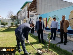 درختکاری را تنها در روز درختکاری خلاصه نکنیم
 2