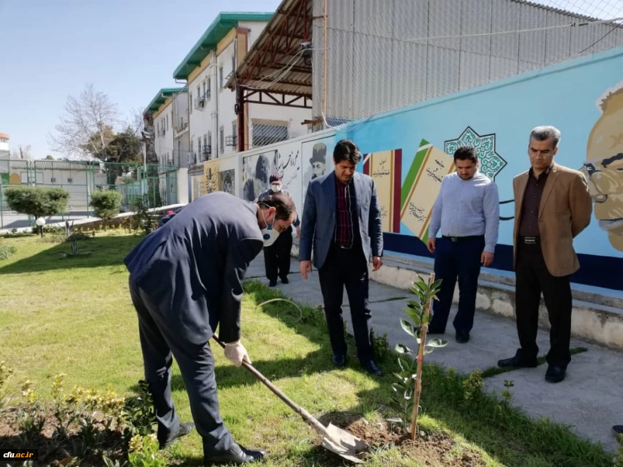 درختکاری را تنها در روز درختکاری خلاصه نکنیم
 2