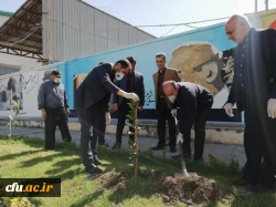 درختکاری را تنها در روز درختکاری خلاصه نکنیم
 3