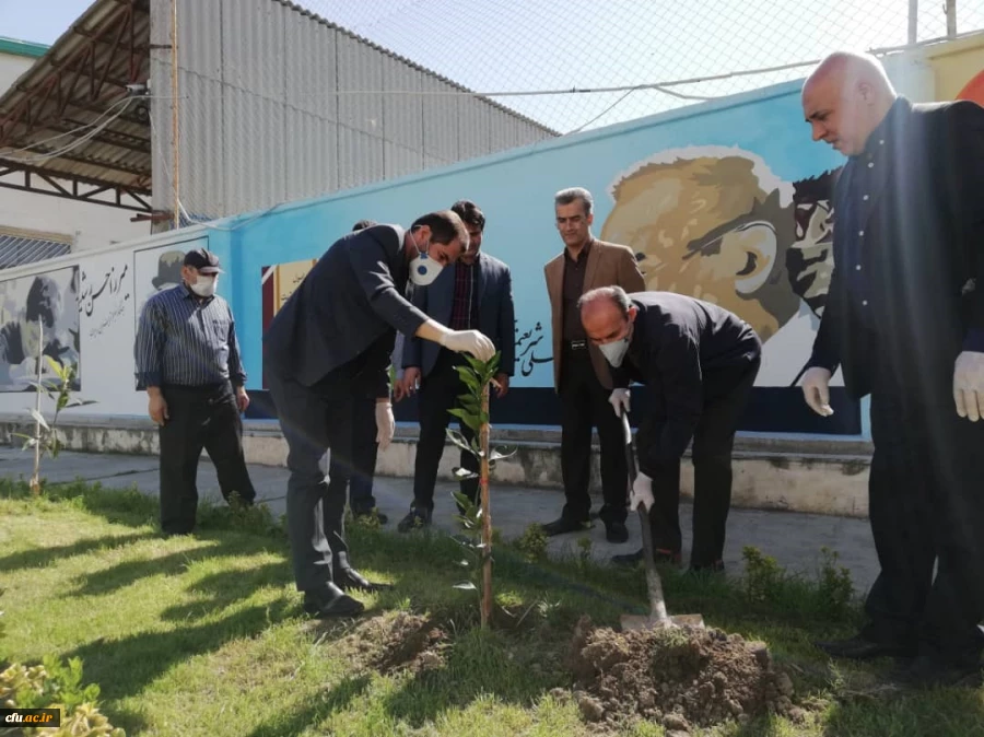 درختکاری را تنها در روز درختکاری خلاصه نکنیم
 3