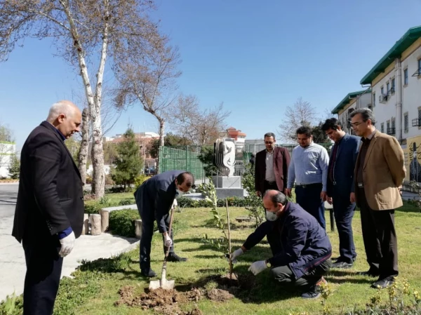 درختکاری را تنها در روز درختکاری خلاصه نکنیم
 4