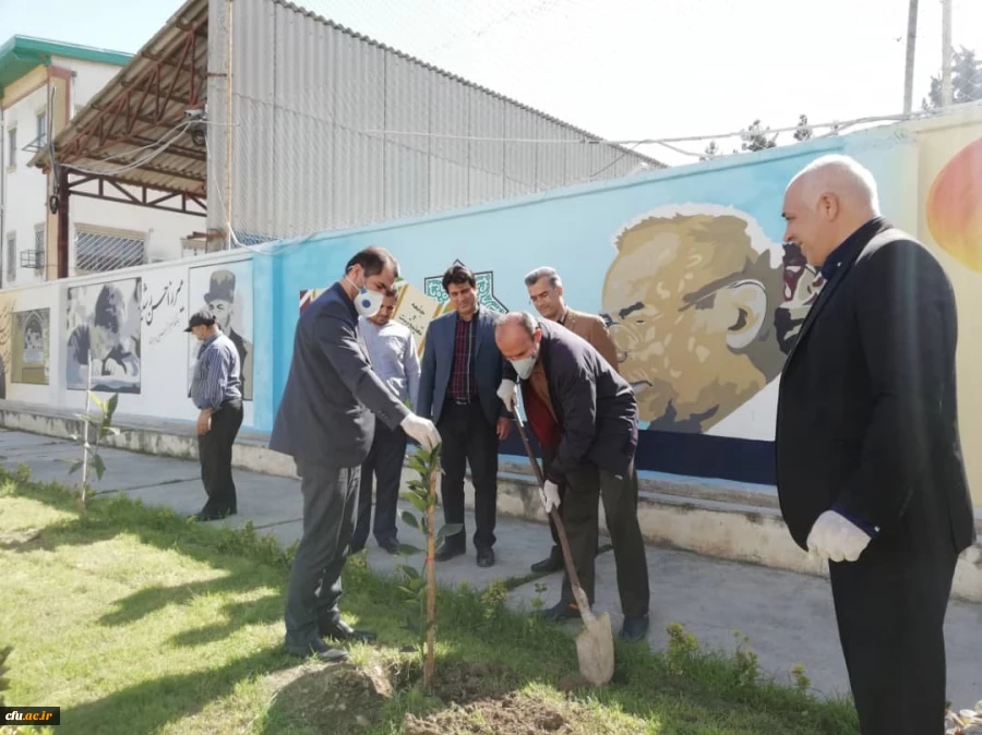 درختکاری را تنها در روز درختکاری خلاصه نکنیم
 5