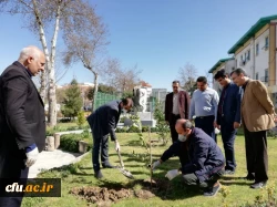 درختکاری را تنها در روز درختکاری خلاصه نکنیم
 6