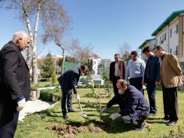 درختکاری را تنها در روز درختکاری خلاصه نکنیم
 6