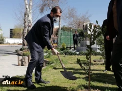 درختکاری را تنها در روز درختکاری خلاصه نکنیم
 7