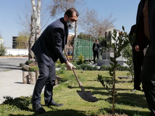 درختکاری را تنها در روز درختکاری خلاصه نکنیم
 7