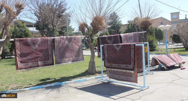 خانه تکانی در پردیس شهید مقصودی همدان برای استقبال از سال جدید
 2