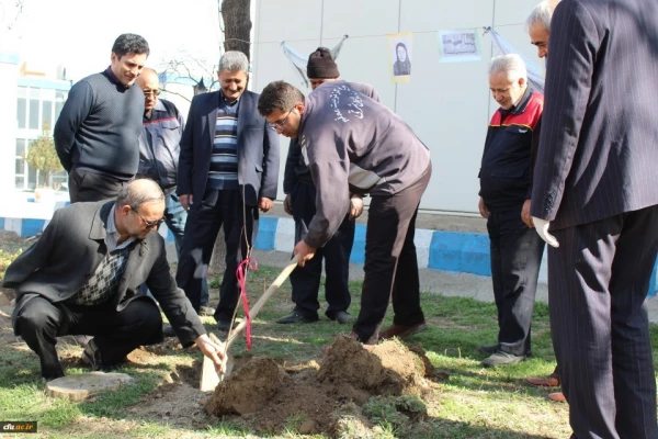 کاشت درخت در محوطه پردیس فاطمه الزهرا(س) تبریز
 4