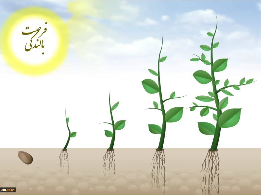 برگزاری فرصت های بالندگی حرفه ای به صورت  دوره های خودخوان 2