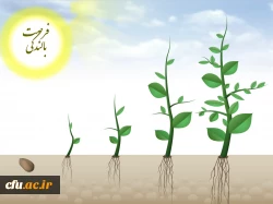 برگزاری فرصت های بالندگی حرفه ای به صورت  دوره های خودخوان 2