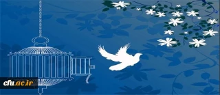 تجلی عینی کمک مومنانه در دانشگاه فرهنگیان کهگیلویه و بویراحمد